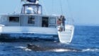 yacht party rental, yacht party rentals, rent a yacht for a party, how much does it cost to rent a yacht for a party, party yacht rental, boat party rental, yacht party, rent a party yacht, birthday party on a boat, rent yacht for a party, party boat rental, yacht rental, party boat rentals near me, boat rental, boat party rental, luxury yacht, charter boat, rent a boat, rent a party boat, pontoon rentals in san diego, yacht rentals in san diego, rent yacht in san diego, rent boat in san diego harbor, can you rent boats in san diego, which rent boats in san diego, rent boat in san diego, rent a party boat in san diego, boat rental san diego pacific beach, boat rental san diego cheap, boat rental san diego with captain, boat rental san diego county, boat rental san diego with driver, boats in san diego for rent, how much to rent a boat in san diego, rent a small boat in san diego, pacific boat rentals san diego ca, boat rentals overnight, boat rentals at mission bay in san diego, can you rent a boat obernight in san diego, how much does it cost to rent a boat in san diego, how much is it to ret a boat in san diego, rental boats in san diego, where can i rent a boat in san diego, how to rent a yacht in san diego, where to rent boats in san diego, where to rent a boat in san diego, we yacht it party chart, yacht it party yacht rentals, for the perfect yacht charter, boat renting, boat rental san diego, san diego boat rentals, boats for rent san diego, party boat rentals san diego mission bay, boat rentals mission bay, party boat rentals, boat rentals mission bay, boat rentals in san diego ca, mai tai yacht charters san diego, rent a yacht in san diego ca, best yacht rentals in san diego ca, best boat rentals in san diego, cheap boat rentals in san diego, boat rentals in san diego california, boat rentals san diego mission bay, yacht rental san diego prices, cheap yacht rental san diego, yacht rental san diego cost, party boat rental san diego mission bay, san diego yacht, yacht vacation rentals san diego, boat rental- san diego group on, how to rent a boat in san diego, how to rent a boat for party in san diego, how to rent a boat in mission bay snan diego, how much does it cost to rent a yacht in San Diego, How much is it to rent a yacht for a night in San Diego, How much does it cost to rent a private yacht for a day, How much does it cost to rent a small yacht, Mai tai yacht charters, Private yacht charter san diego, San diego yacht charter, Yacht charters san diego, Boat charters san diego, San diego boat charter, San diego yacht rental, San diego bay tour, Sun diego charter, San diego yacht rental, Yacht rentals san diego, Booze cruise san diego, San diego booze cruise, Rent a yacht san diego, San diego yacht rentals, San Diego Private Fishing Boats, San Diego Sunset Cruise, San Diego Dinner Cruise, Catalina Yacht Charters, Catalina Snorkeling, Catalina Live Aboard, San Diego Yacht Charters, San Diego Booze Cruise, San Diego Boat Charters, San Diego Fishing Charters, San Diego Sunset Cruise, San Diego Private Yachts, Bachelorette Party San Diego, Bachelorette Boat Cruise San Diego, San Diego Bachelorette Party, Bachelorette Boat party, San Diego Boat Party, Bachelorette Cruise, San Diego Dinner Cruise, San Diego Sunset Sail