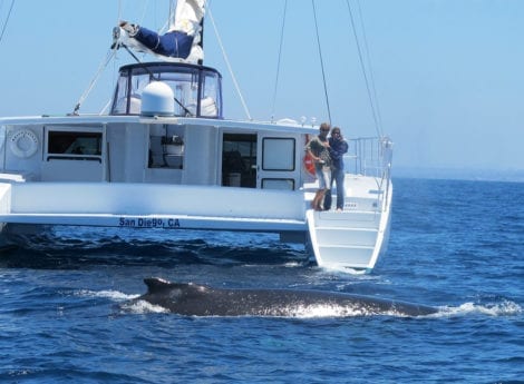 yacht party rental, yacht party rentals, rent a yacht for a party, how much does it cost to rent a yacht for a party, party yacht rental, boat party rental, yacht party, rent a party yacht, birthday party on a boat, rent yacht for a party, party boat rental, yacht rental, party boat rentals near me, boat rental, boat party rental, luxury yacht, charter boat, rent a boat, rent a party boat, pontoon rentals in san diego, yacht rentals in san diego, rent yacht in san diego, rent boat in san diego harbor, can you rent boats in san diego, which rent boats in san diego, rent boat in san diego, rent a party boat in san diego, boat rental san diego pacific beach, boat rental san diego cheap, boat rental san diego with captain, boat rental san diego county, boat rental san diego with driver, boats in san diego for rent, how much to rent a boat in san diego, rent a small boat in san diego, pacific boat rentals san diego ca, boat rentals overnight, boat rentals at mission bay in san diego, can you rent a boat obernight in san diego, how much does it cost to rent a boat in san diego, how much is it to ret a boat in san diego, rental boats in san diego, where can i rent a boat in san diego, how to rent a yacht in san diego, where to rent boats in san diego, where to rent a boat in san diego, we yacht it party chart, yacht it party yacht rentals, for the perfect yacht charter, boat renting, boat rental san diego, san diego boat rentals, boats for rent san diego, party boat rentals san diego mission bay, boat rentals mission bay, party boat rentals, boat rentals mission bay, boat rentals in san diego ca, mai tai yacht charters san diego, rent a yacht in san diego ca, best yacht rentals in san diego ca, best boat rentals in san diego, cheap boat rentals in san diego, boat rentals in san diego california, boat rentals san diego mission bay, yacht rental san diego prices, cheap yacht rental san diego, yacht rental san diego cost, party boat rental san diego mission bay, san diego yacht, yacht vacation rentals san diego, boat rental- san diego group on, how to rent a boat in san diego, how to rent a boat for party in san diego, how to rent a boat in mission bay snan diego, how much does it cost to rent a yacht in San Diego, How much is it to rent a yacht for a night in San Diego, How much does it cost to rent a private yacht for a day, How much does it cost to rent a small yacht, Mai tai yacht charters, Private yacht charter san diego, San diego yacht charter, Yacht charters san diego, Boat charters san diego, San diego boat charter, San diego yacht rental, San diego bay tour, Sun diego charter, San diego yacht rental, Yacht rentals san diego, Booze cruise san diego, San diego booze cruise, Rent a yacht san diego, San diego yacht rentals, San Diego Private Fishing Boats, San Diego Sunset Cruise, San Diego Dinner Cruise, Catalina Yacht Charters, Catalina Snorkeling, Catalina Live Aboard, San Diego Yacht Charters, San Diego Booze Cruise, San Diego Boat Charters, San Diego Fishing Charters, San Diego Sunset Cruise, San Diego Private Yachts, Bachelorette Party San Diego, Bachelorette Boat Cruise San Diego, San Diego Bachelorette Party, Bachelorette Boat party, San Diego Boat Party, Bachelorette Cruise, San Diego Dinner Cruise, San Diego Sunset Sail
