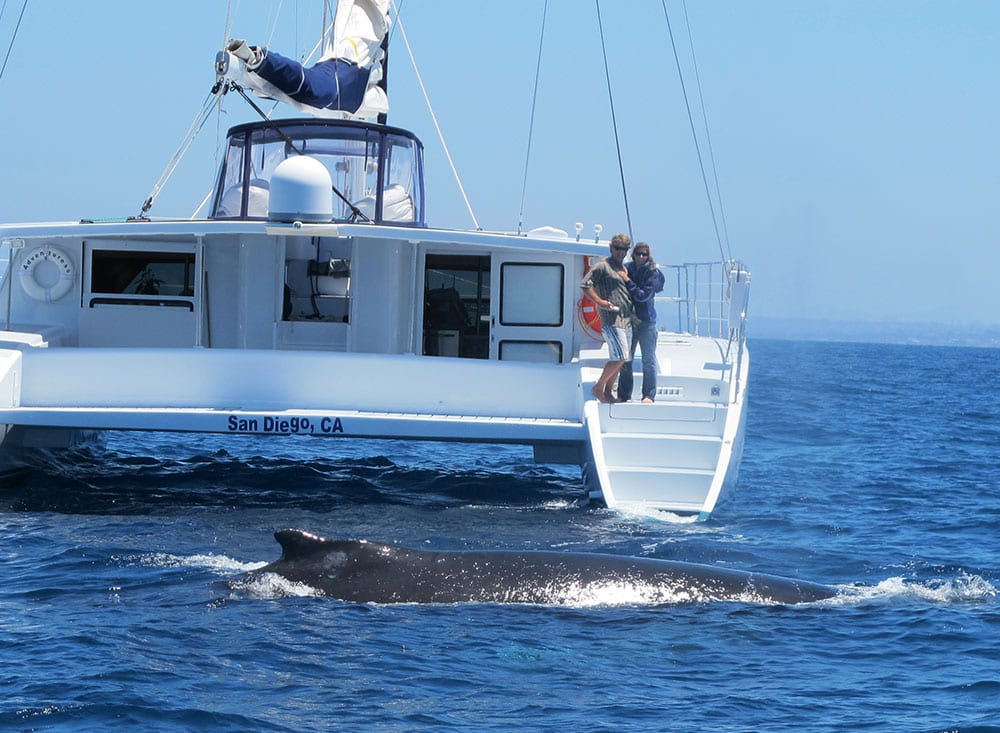 yacht party rental, yacht party rentals, rent a yacht for a party, how much does it cost to rent a yacht for a party, party yacht rental, boat party rental, yacht party, rent a party yacht, birthday party on a boat, rent yacht for a party, party boat rental, yacht rental, party boat rentals near me, boat rental, boat party rental, luxury yacht, charter boat, rent a boat, rent a party boat, pontoon rentals in san diego, yacht rentals in san diego, rent yacht in san diego, rent boat in san diego harbor, can you rent boats in san diego, which rent boats in san diego, rent boat in san diego, rent a party boat in san diego, boat rental san diego pacific beach, boat rental san diego cheap, boat rental san diego with captain, boat rental san diego county, boat rental san diego with driver, boats in san diego for rent, how much to rent a boat in san diego, rent a small boat in san diego, pacific boat rentals san diego ca, boat rentals overnight, boat rentals at mission bay in san diego, can you rent a boat obernight in san diego, how much does it cost to rent a boat in san diego, how much is it to ret a boat in san diego, rental boats in san diego, where can i rent a boat in san diego, how to rent a yacht in san diego, where to rent boats in san diego, where to rent a boat in san diego, we yacht it party chart, yacht it party yacht rentals, for the perfect yacht charter, boat renting, boat rental san diego, san diego boat rentals, boats for rent san diego, party boat rentals san diego mission bay, boat rentals mission bay, party boat rentals, boat rentals mission bay, boat rentals in san diego ca, mai tai yacht charters san diego, rent a yacht in san diego ca, best yacht rentals in san diego ca, best boat rentals in san diego, cheap boat rentals in san diego, boat rentals in san diego california, boat rentals san diego mission bay, yacht rental san diego prices, cheap yacht rental san diego, yacht rental san diego cost, party boat rental san diego mission bay, san diego yacht, yacht vacation rentals san diego, boat rental- san diego group on, how to rent a boat in san diego, how to rent a boat for party in san diego, how to rent a boat in mission bay snan diego, how much does it cost to rent a yacht in San Diego, How much is it to rent a yacht for a night in San Diego, How much does it cost to rent a private yacht for a day, How much does it cost to rent a small yacht, Mai tai yacht charters, Private yacht charter san diego, San diego yacht charter, Yacht charters san diego, Boat charters san diego, San diego boat charter, San diego yacht rental, San diego bay tour, Sun diego charter, San diego yacht rental, Yacht rentals san diego, Booze cruise san diego, San diego booze cruise, Rent a yacht san diego, San diego yacht rentals, San Diego Private Fishing Boats, San Diego Sunset Cruise, San Diego Dinner Cruise, Catalina Yacht Charters, Catalina Snorkeling, Catalina Live Aboard, San Diego Yacht Charters, San Diego Booze Cruise, San Diego Boat Charters, San Diego Fishing Charters, San Diego Sunset Cruise, San Diego Private Yachts, Bachelorette Party San Diego, Bachelorette Boat Cruise San Diego, San Diego Bachelorette Party, Bachelorette Boat party, San Diego Boat Party, Bachelorette Cruise, San Diego Dinner Cruise, San Diego Sunset Sail